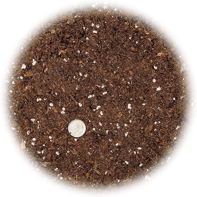 GARDENERA Citrus Tree Potting Soil Mix, Special Blend for Indoor Oranges, Lemons, Limes and More - (2 Quart Bag)