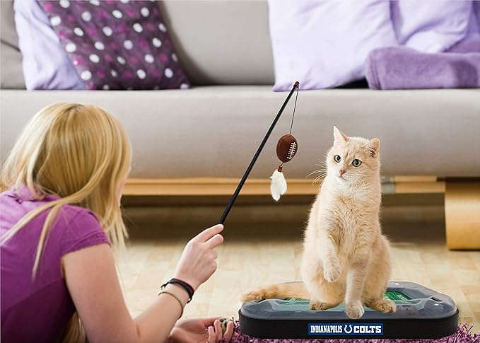 Pets First Cat Catnip Pets First Indianapolis Colts Football Field CAT Scratcher Toy with Catnip Filled Plush Football Toy&Feather Cat Toy Hanging.Jingle Bell Interactive Ball Chasing 5-in-1 Kitty Toy