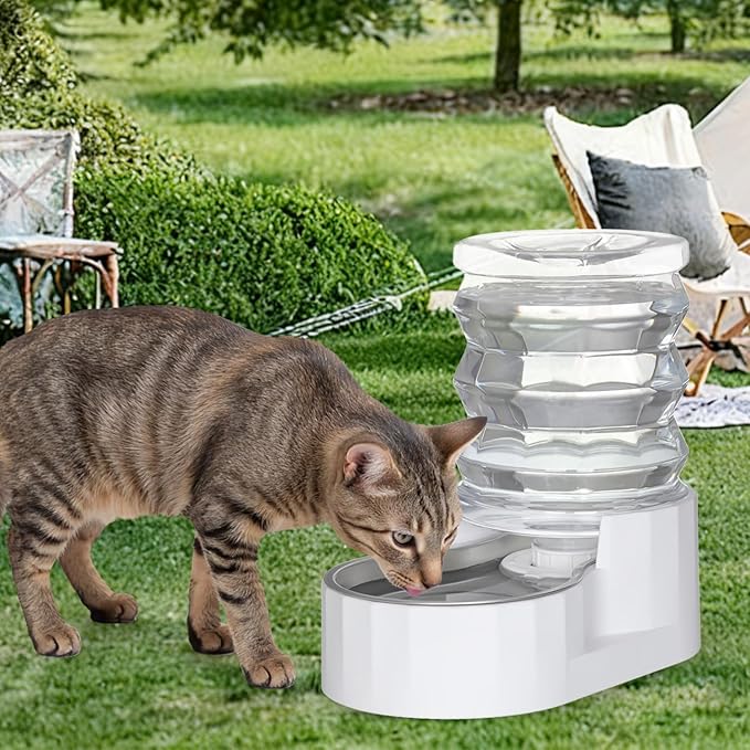 RIZZARI Dog Water Bowl Dispenser: 5L Automatic Stainless Steel Gravity Feeder - Large Capacity for 8-20 LB Cats with Joint Spine Pain - for Kitchen Bedroom