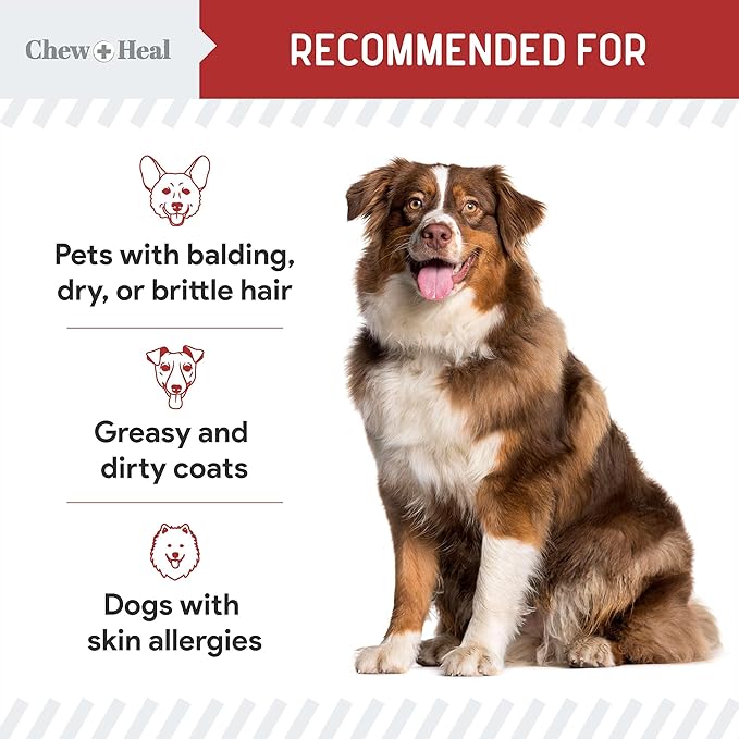 Best Itchy Skin Relief for Dogs -360 Soft Chew Omega Treats for Skin and Coat -Salmon Oil Blend of Fatty Acids, Omega 3, 6, Vitamins, Antioxidants -Made in USA (2 Packs of 180, Bacon Flavor)