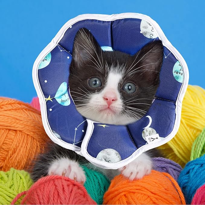 Sadnyy Cat Cone Collar Soft Adjustable Waterproof Protection to Stop Licking After Surgery Starry Sky Blue Comfortable Lightweight Collar for Pet Animal Kitten Dogs Rabbits Not Block Vision(Small)