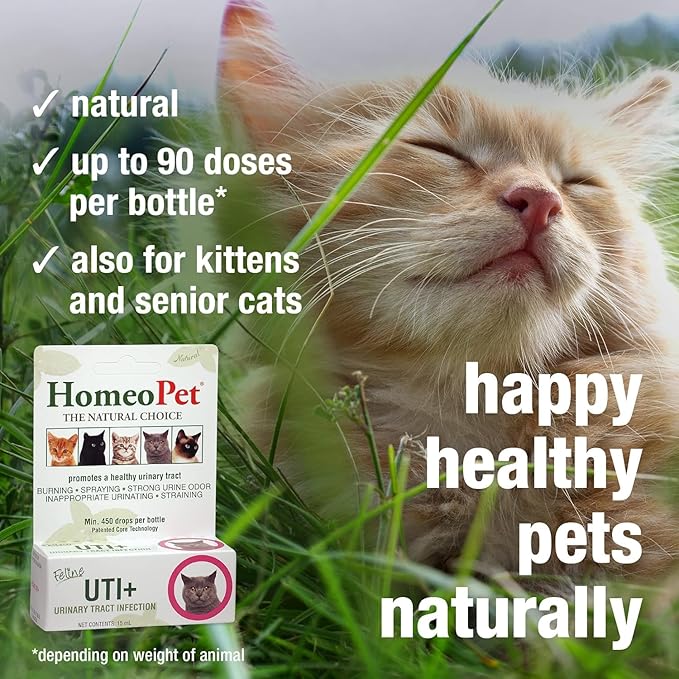 HomeoPet Feline UTI Plus, Safe and Natural Urinary Tract Medicine for Cats, Feline Urinary Tract Support, 15 Milliliters - Pack of 2