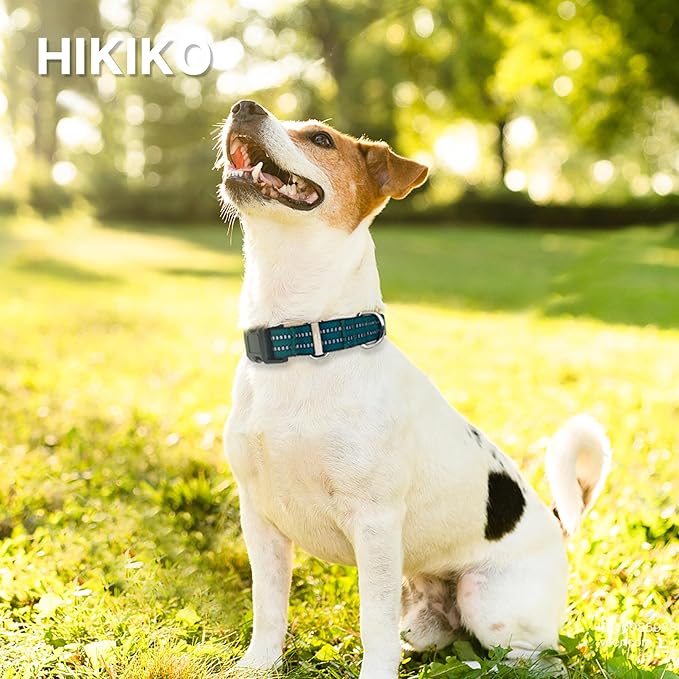 Hikiko Martingale Dog Collars Reflective Nylon Dog Collar with Quick Release Buckle Adjustable Training No Slip Dog Collar (Large, Dark Green)