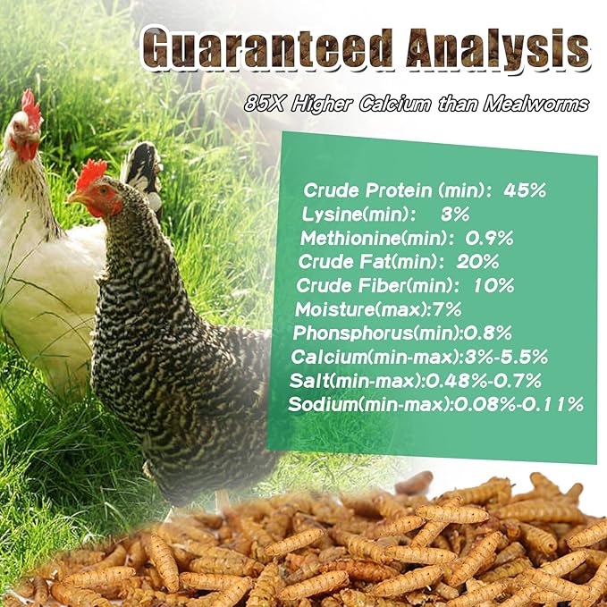 Dried Black Solidier Fly Larvae 11LBS, 85X More Calcium Than Mealworms High-Protein BSF Larvae Chicken Treats Non-GMO BSFL for Chickens, Hens, Ducks, Wild Birds