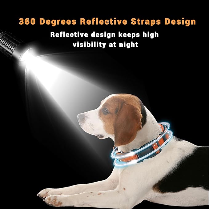 2 Pack Reflective Dog Collar with Safety Locking Buckle, Adjustable Soft Breathable Comfortable Nylon Pet Collar for Small, Medium and Large Dogs, Orange, L