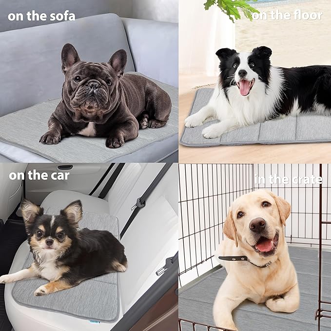 Dog Cooling Mat for Medium Dogs - 30x20 Orthopedic Memory Foam Pet Pad for Summer, QMAX>0.5, Washable Premium Comfort Crate Pad for Your Furry Companion, Grey