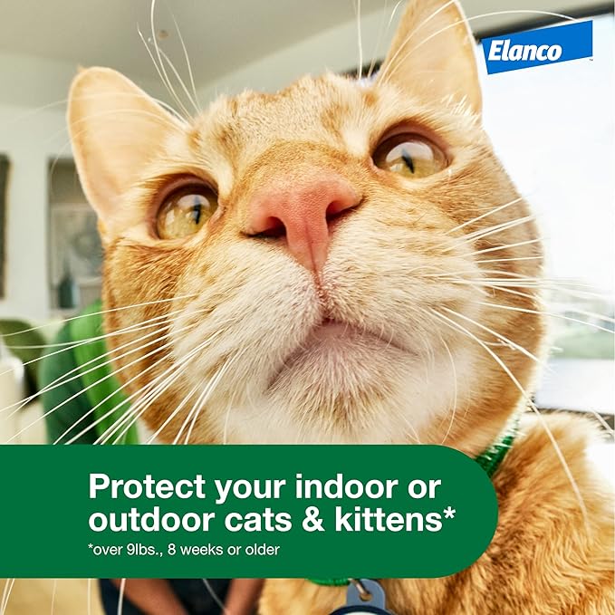 Advantage XD Large Cat Flea Prevention & Treatment For Cats over 9lbs. | 2-Topical Doses, 2-Months of Protection Per Dose
