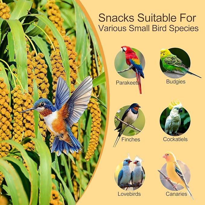 Sun-Dried Spray Millet for Birds - 0.88LBS Natural Non GMO, Healthy Millet Bird Treat, Bird Treats for Parakeets, Parrots, Cockatiels, Lovebirds, Finches & Canaries Food