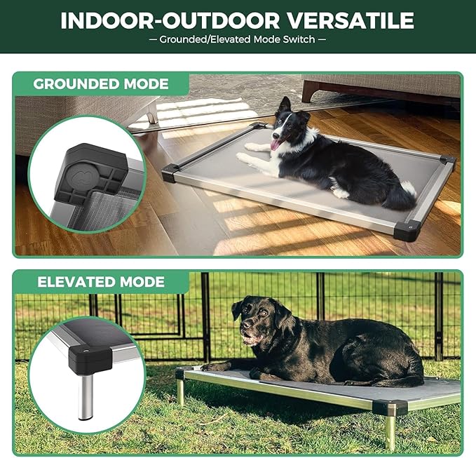 FXW TitanNest Chew-Proof Elevated Dog Bed, Raised Cot for Indoor/Outdoor/Camping Use, Durable & Washable Padded Pet Bed for Small Dogs, 35.0" L x 22.0" W x 4.5" H, Gray