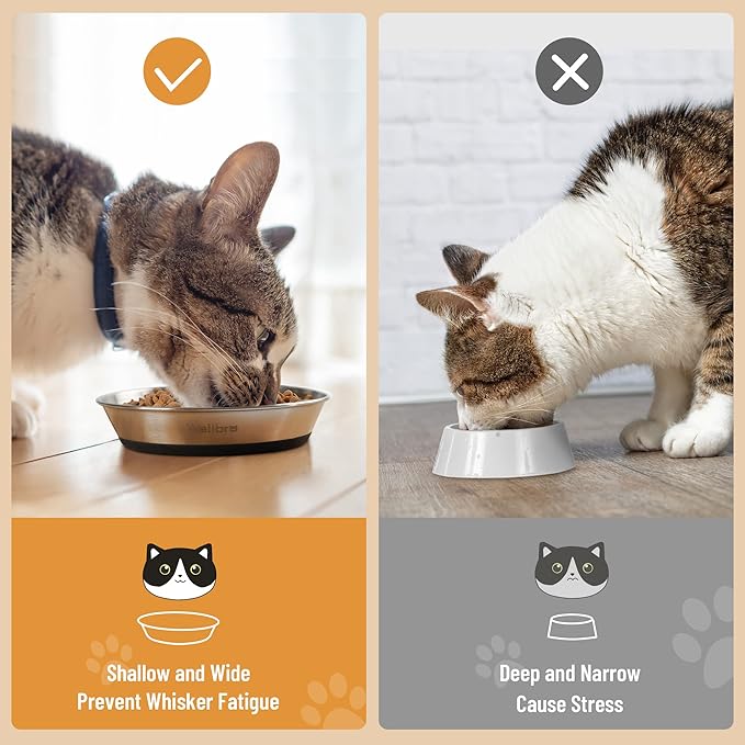 Cat Bowls, 6 Pcs Stainless Steel Bowls for Food and Water, Whisker Fatigue Shallow Non-Slip Cat Dishes Plates for Small Dog Puppies Cats