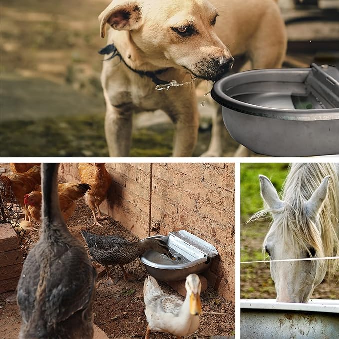 Automatic Water Dispenser for Dog Water Bowl Dispenser Large Size Stainless-Steel Waterer Feeder Self Filling Water Trough for Poultry and Livestock (Stainless Steel, Large)