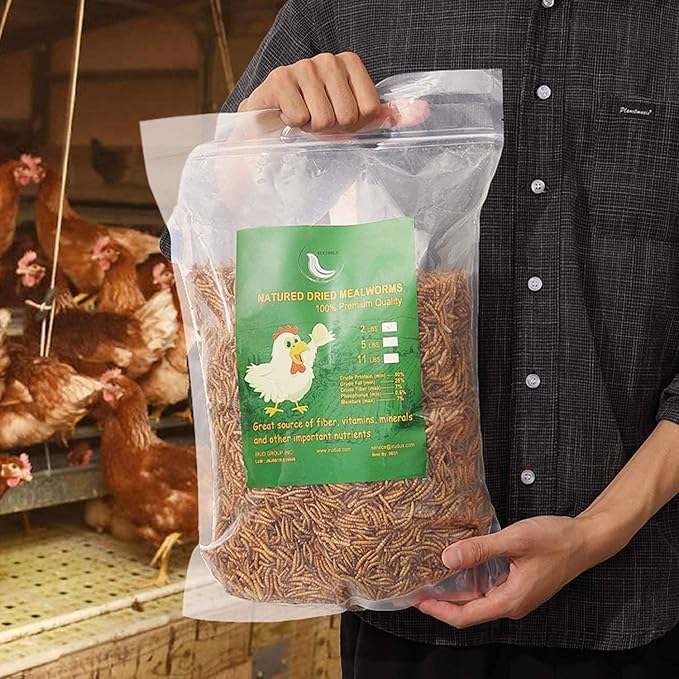 Non-GMO Dried Mealworms,11LB 100% Natural Large Size No Moisture,Treats for Birds Chickens Hedgehog Hamster Fish Reptile Turtles