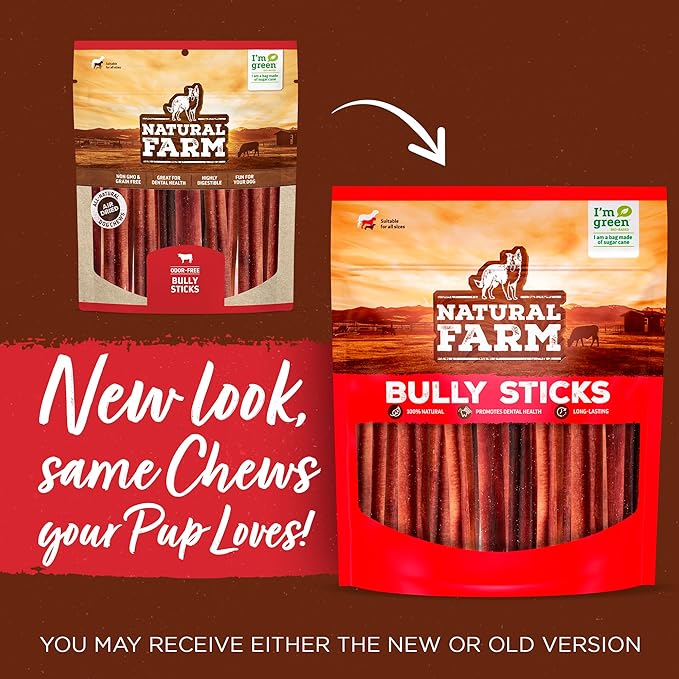 Natural Farm Odor-Free Braided Bully Sticks (6 Inch, 10 Pack) - 100% Grass-Fed Beef, Grain-Free, Low Fat & Fully Digestible Dental Treats - Safest Long Lasting Pizzle Chews to Keep Your Dog Busy