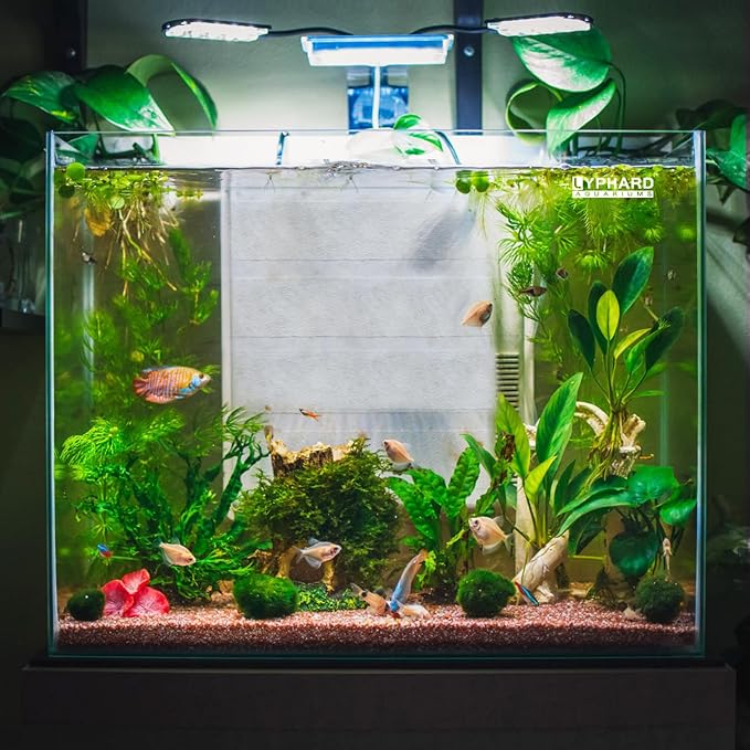 Cube Rimless Aquarium 4 Gallon, Ultra Clear Low Iron Nano Fish Tank for Betta, L9.8×W9.8×H9.8 Glass Thickness 5mm with EVA Foam Leveling Mat