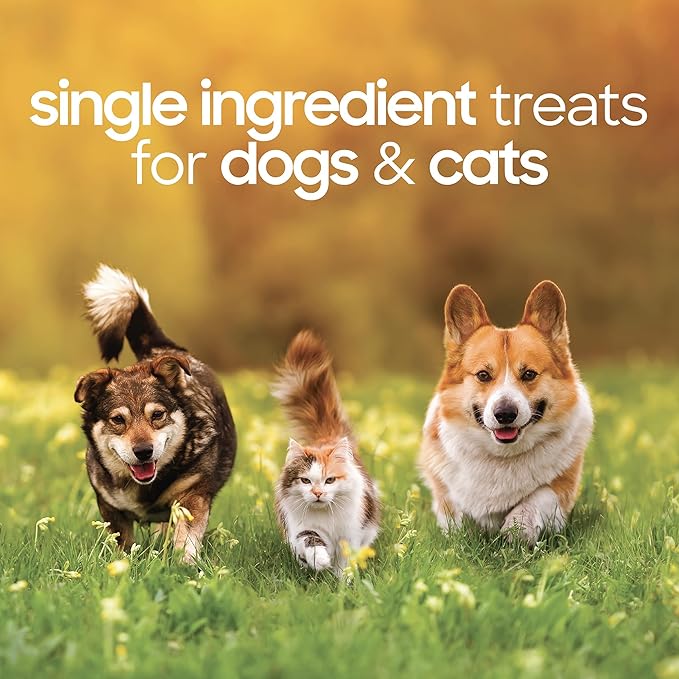 smallbatch Freeze Dried Dog Treats, Beef Liver Treats for Dogs & Cats, High Protein, Single Ingredient Dog Treat for Training or Food Topper, Natural, Humanely Sourced Meat, Made in The USA, 4 oz