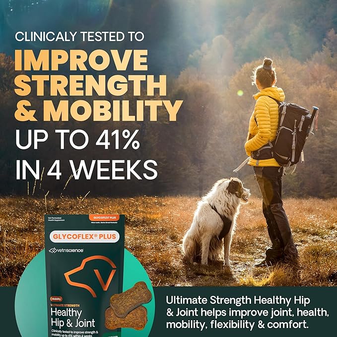 VetriScience GlycoFlex Ultimate Strength Healthy Hip & Joint Glucosamine Supplements for Dogs, with MSM, Chondroitin & Green-Lipped Mussel, Soft Chews, Bacon, 120 Count - New Look
