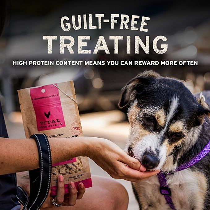 Vital Essentials Duck Bites Dog Treats, 2 oz | Freeze-Dried Raw | Single Protein | Premium Quality High Protein Training Treats | Grain Free, Gluten Free, Filler Free