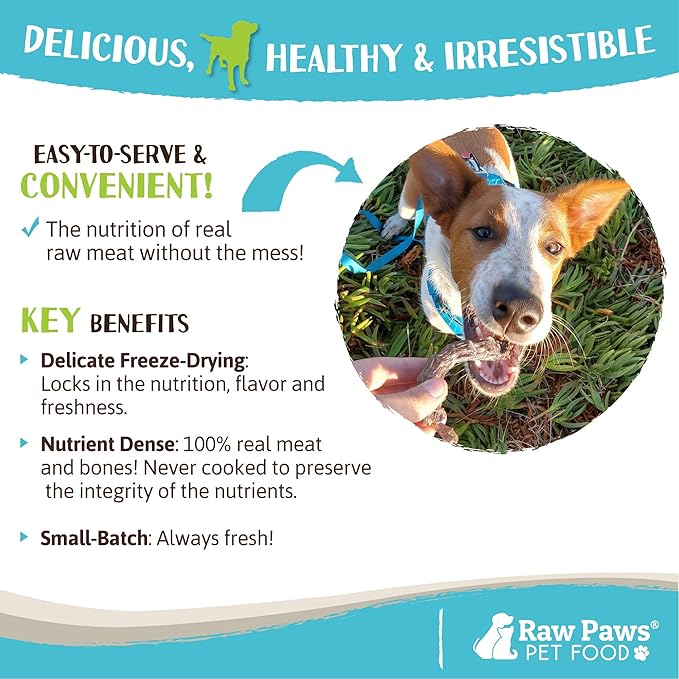 Raw Paws Freeze-Dried Chicken Necks for Dogs & Cats (4-Ounce) - Made in USA - Raw Freeze Dried Dog Treats - Chicken Necks for Cats - Single Ingredient Chews