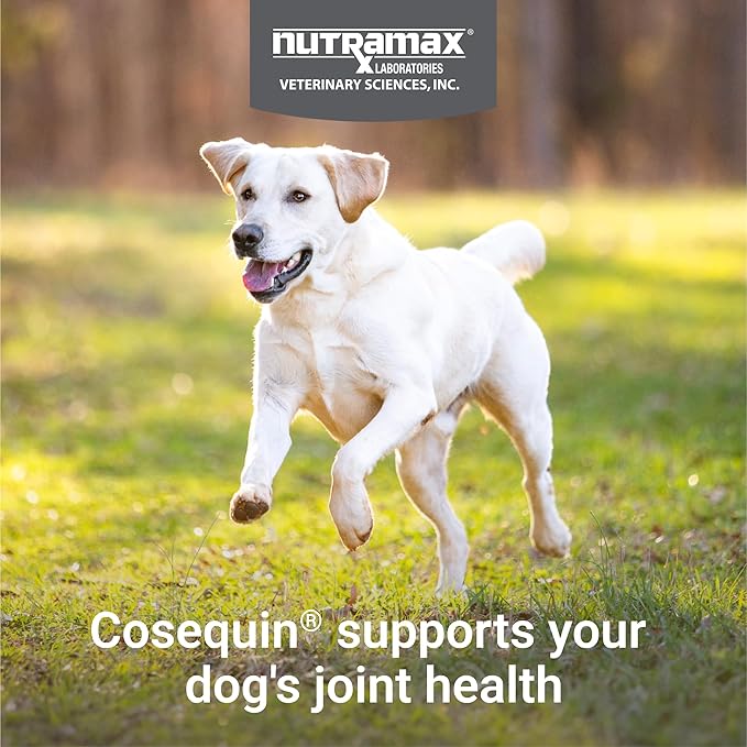 Nutramax Laboratories Cosequin DS Double Strength Chewables 132 Count