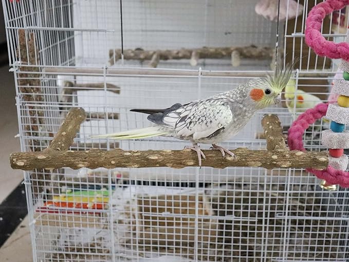 Large Natural Pepper Wood Parrot Stand Branch, Wooden Perch for Parakeet Cockatiels Conures Lovebirds Budgies, Birdcage Accessories 15.66.7 Inches