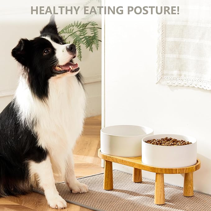Ceramic Elevated Dog Bowls, Pet Food and Water Bowl Set for Large Dogs, 7.5 Cups Dog Bowls Raised with Wood Stand, 61OZ, White