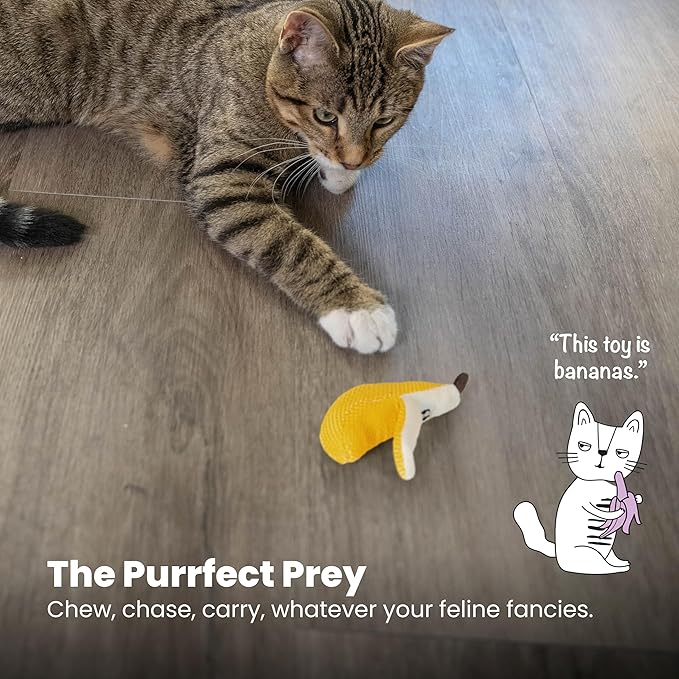 Catstages Dental Banana Cat Toy with Catnip, Interactive Chew for Healthy Teeth and Gums, Engages Hunting Instincts, Durable Indoor Play for Cats, Yellow