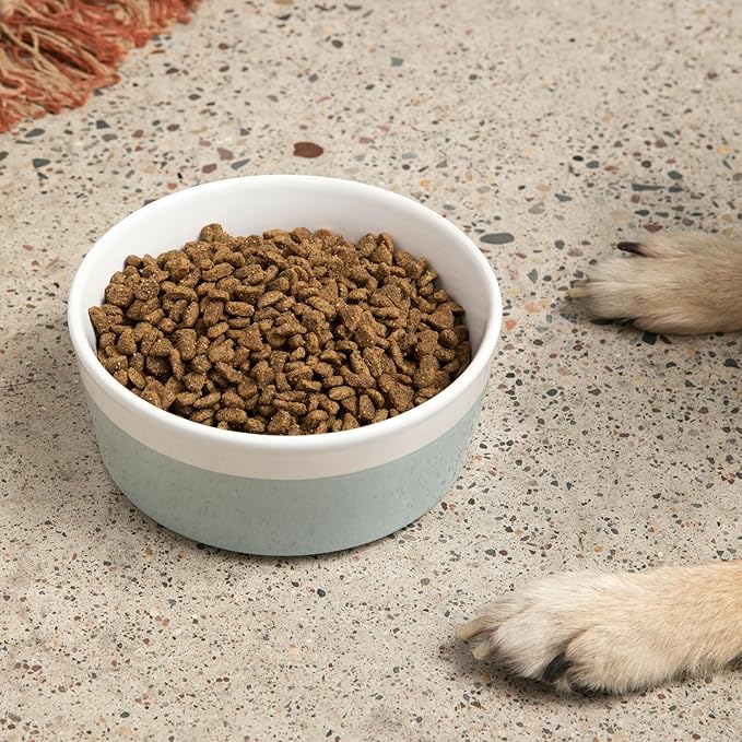 Waggo Dipper Ceramic Dog Bowl for Small and Large Breeds - Heavyweight and Durable Pet Food and Water Dish Crock, Dishwasher Safe, Modern (Cloud, Large)