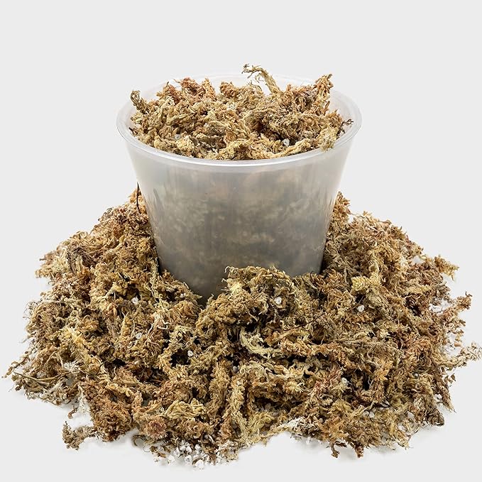Gardenera Sphagnum Moss Potting Mix for Carnivorous Plants, Moss and Perlite Blend for Potting Venus Fly Traps, Sarracenia, Pitcher Plants - 75% Sphagnum Moss + 25% Perlite - Made in USA - 2 Quart