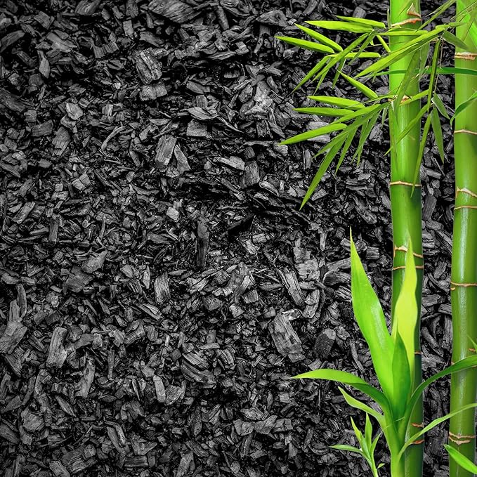 Horticultural Charcoal for Plants – Organic Bio Char Soil Amendment for Terrariums, Indoor Plants & Gardening, Made in USA (3 quarts)
