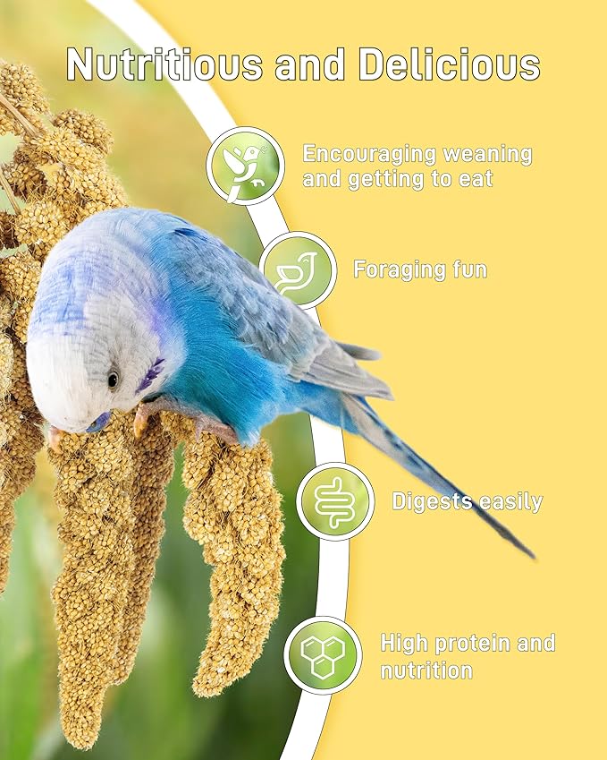 BUCATSTATE 2.2lbs Millet for Birds, Sun-Dried Parakeet Food for Parrot, Budgie, Cockatiel, Finches, Lovebird, GMO-Free Parakeet Treats (2.2lbs)