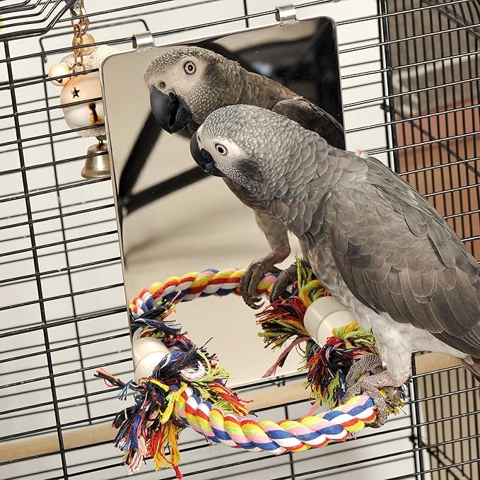 Colorday 9" Bird Mirror with Rope Perch, Bird Swing, Parrot Cage Toys for Parakeet African Grey Conure Cockatiel Lovebird Finch Canarie, Large