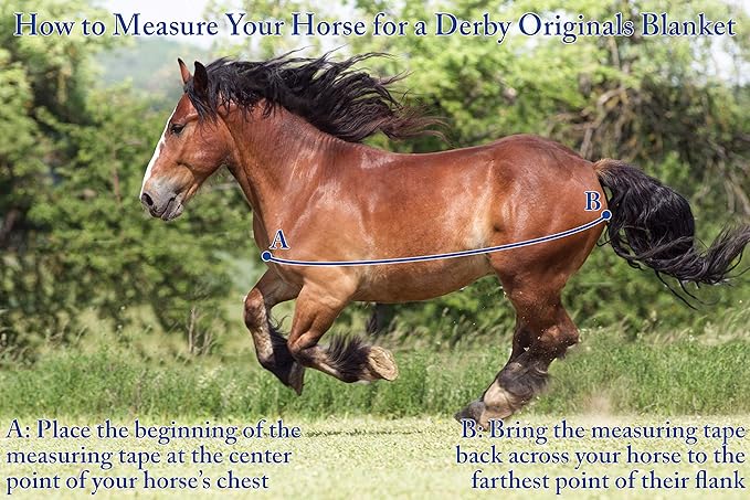Derby Originals Nordic Tough 1200D Ripstop Waterproof Reflective Winter Horse Turnout Blanket 300g Heavy Weight, Royal Blue, 84"