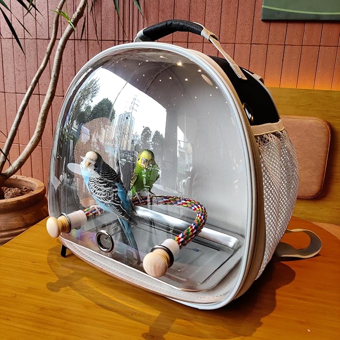Small Bird Travel Backpack Carrier Cage, Backpack to Transport Backpack Carrier with Metal Tray Stand Perch for Parakeet Cockatiel Budgies Vet Carry Book Bag Green