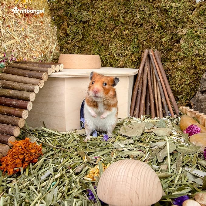 Niteangel Birch Chamber-Maze Hamster Hideout - Small Pets Woodland House Habitats Decor for Hamster Mice Gerbils Mouse
