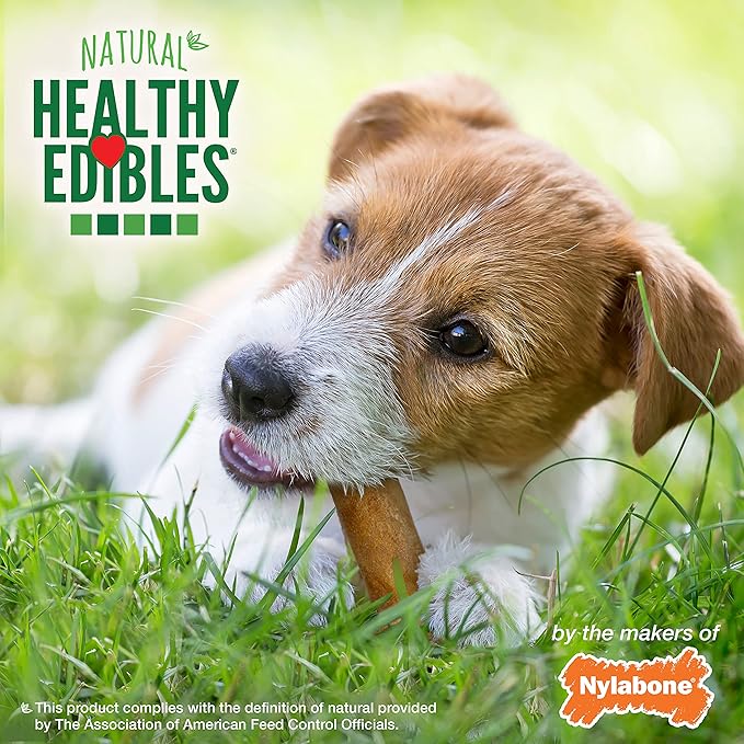 Nylabone Healthy Edibles Natural Dog Chews Long Lasting Roast Beef Flavor Treats for Dogs, Small/Regular (2 Count)