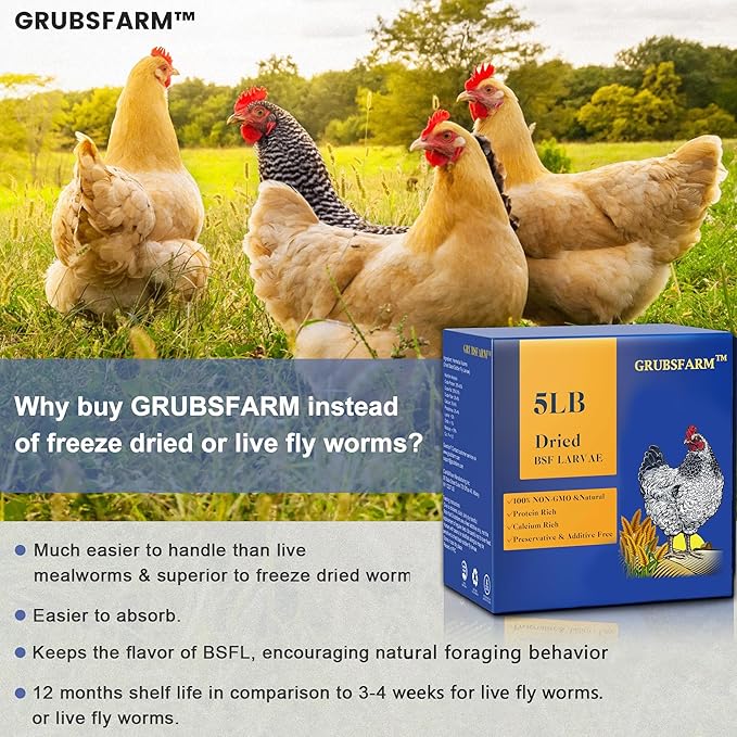 Superior to Dried Mealworms for Chickens 5lb - 85X More Calcium Than Mealworms - Non-GMO Chicken Feed - Molting Supplement - BSF Larvae Treats for Hens, Ducks, Turkeys, Wild Birds, Quails