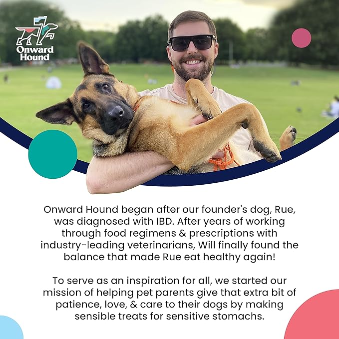 Training Treats for Dogs - Soft Salmon - Low Calorie Dog Training Treats for Sensitive Stomachs with Single Source Premium Protein, Corn Free, & Soy Free Formula - 4 oz