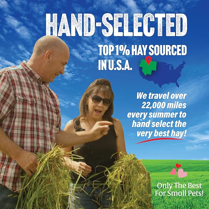 Small Pet Select 1st Cutting Timothy Hay, Animal Food for Guinea Pig, Rabbit, Hamster, Bunny, or Chinchilla, Natural Hay Grown in The USA, 40lb