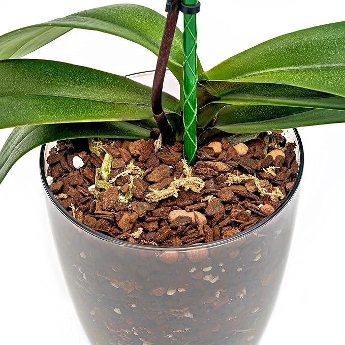 Organic Premium Orchid Soil Mix by Gardenera - Hand Mixed Classic Sphagnum Moss Potting Soil Mix - for Phalaenopsis Orchid - 4 Quart - Made in USA
