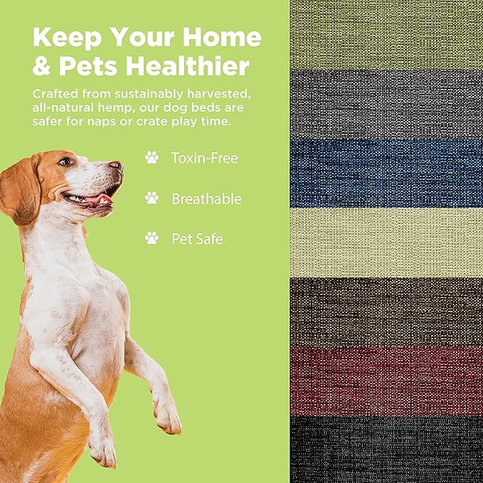 Large - 42 x 28 x 5 - Cactus Premium Organic Hemp Dog Bed - Organic Latex Fill - Removeable Cover